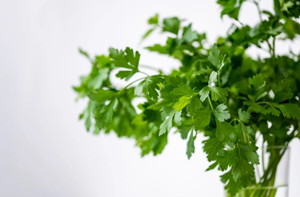 Parsley