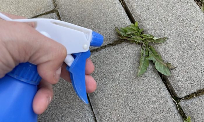 Weed killer