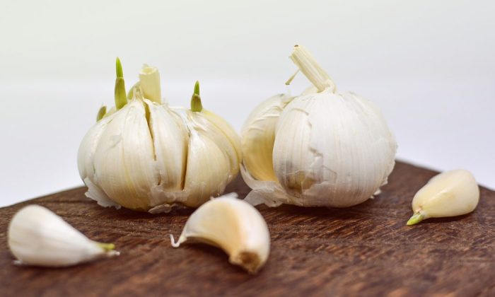Garlic