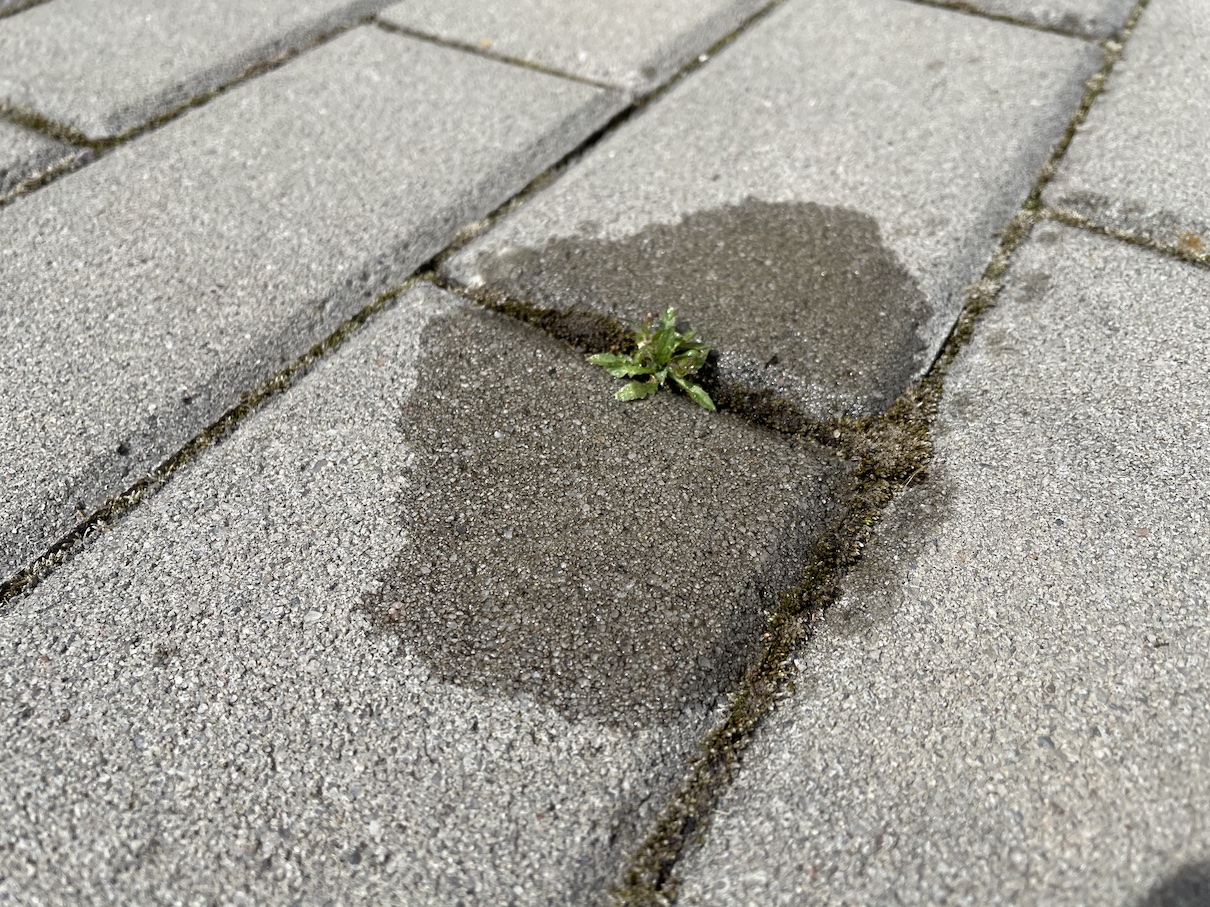 Weed killer