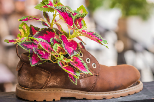 Flowerpots