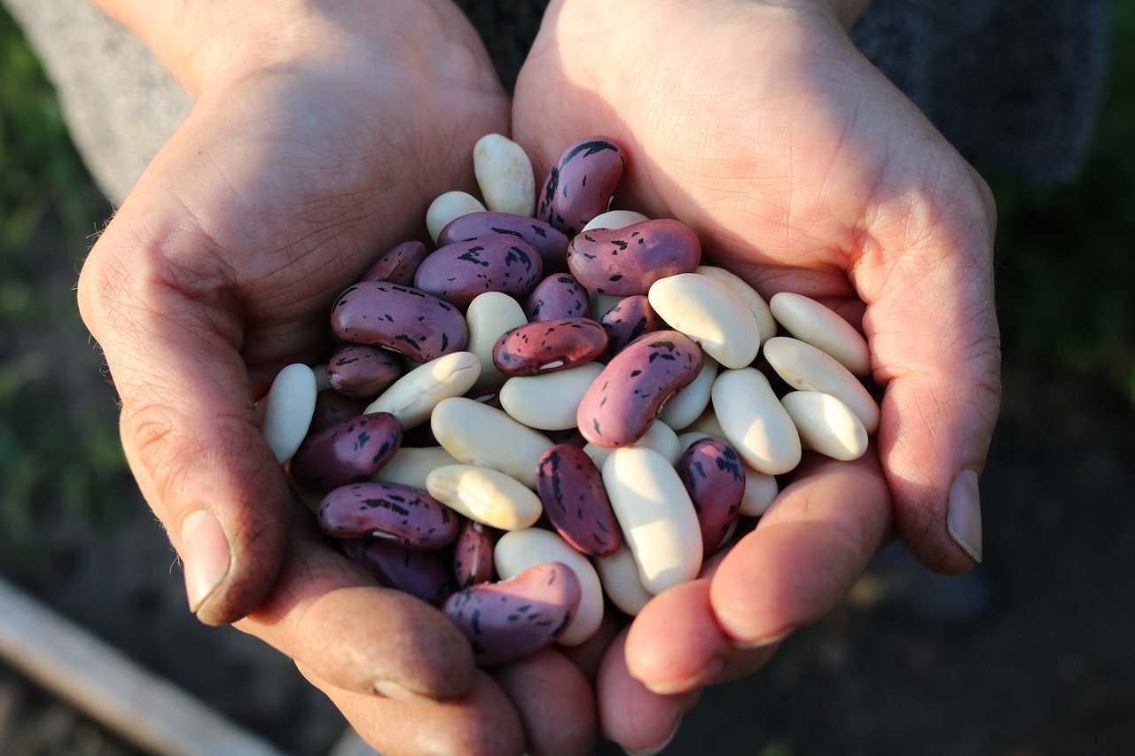 Beans 