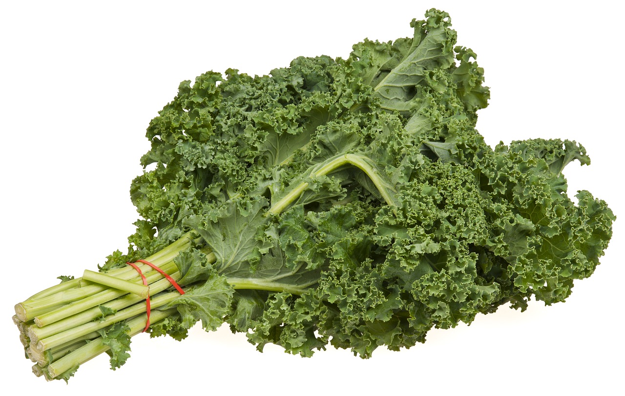 Cabbage