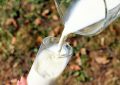Whip cream