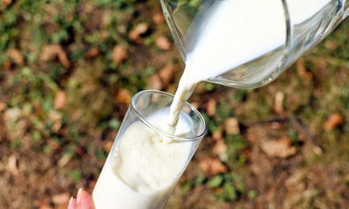 Whip cream