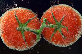 Tomatoes