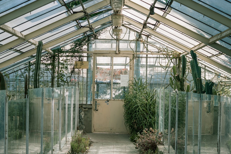 Greenhouse