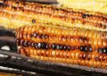 Corn