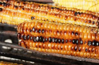 Corn