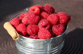 Raspberries