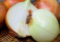 Onion