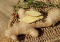 Ginger