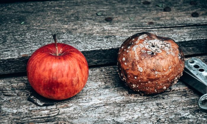 Rotten apples