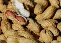 Peanuts
