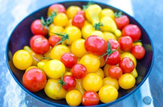 Tomatoes