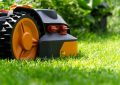 Lawn
