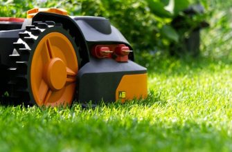 Lawn
