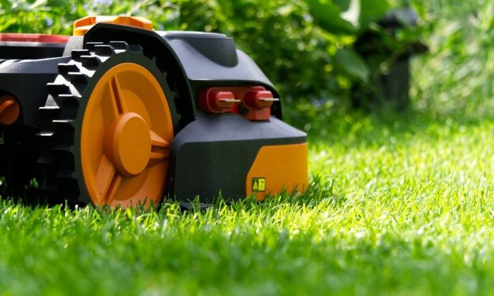 Lawn