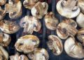 Champignons