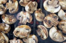 Champignons