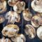 Champignons