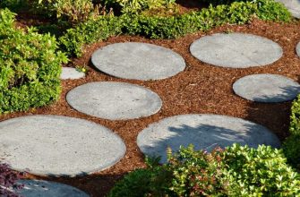 Pathways
