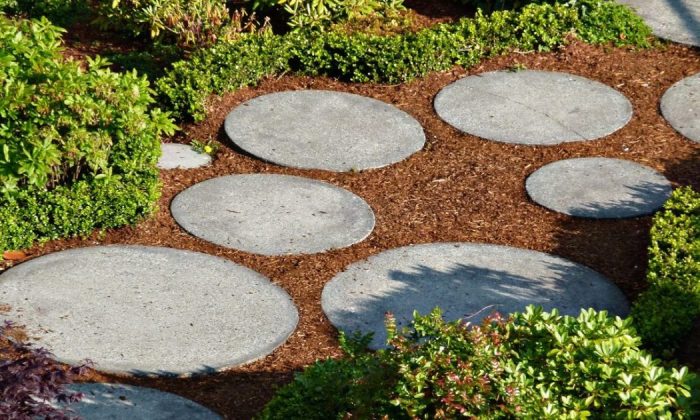 Pathways