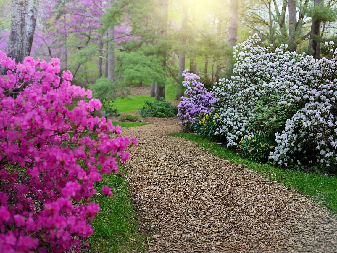 Pathways