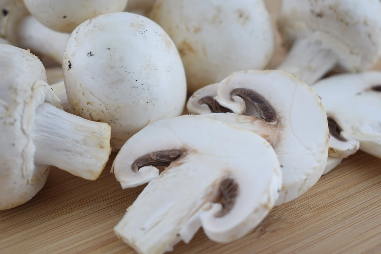 Champignons