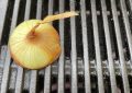 Onions