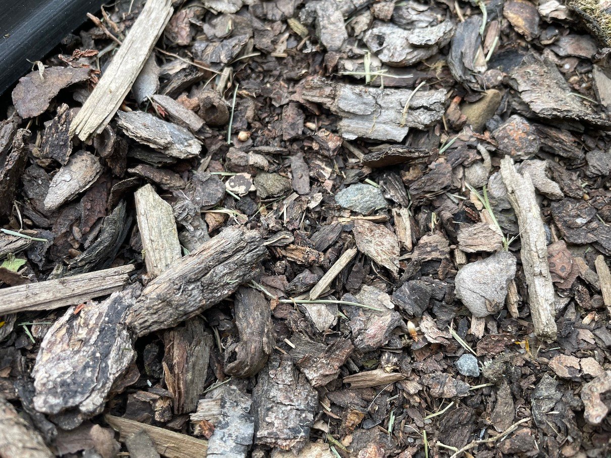 Mulching bark 