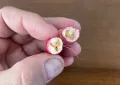 Radishes