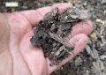 Mulching bark