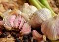 Garlic