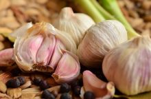 Garlic