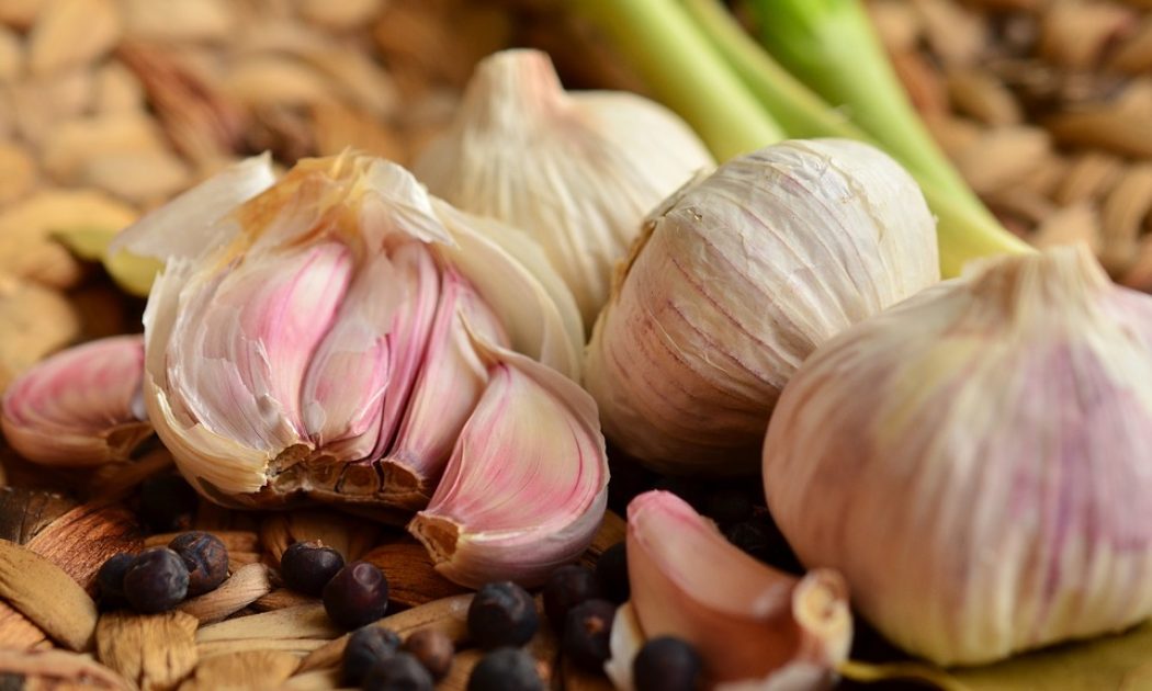 Garlic