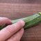 Zucchini