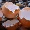Eggshells