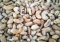 Peanuts