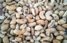 Peanuts