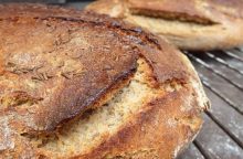 Bread