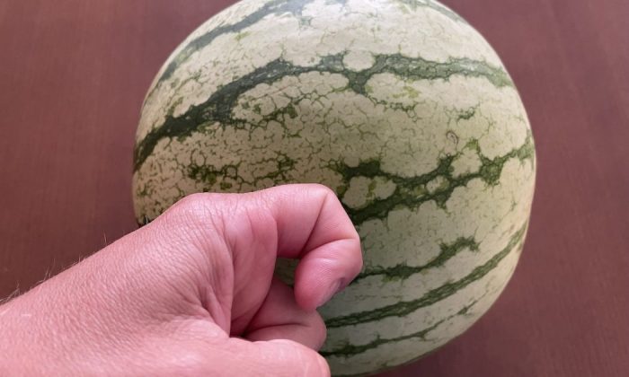 Watermelon