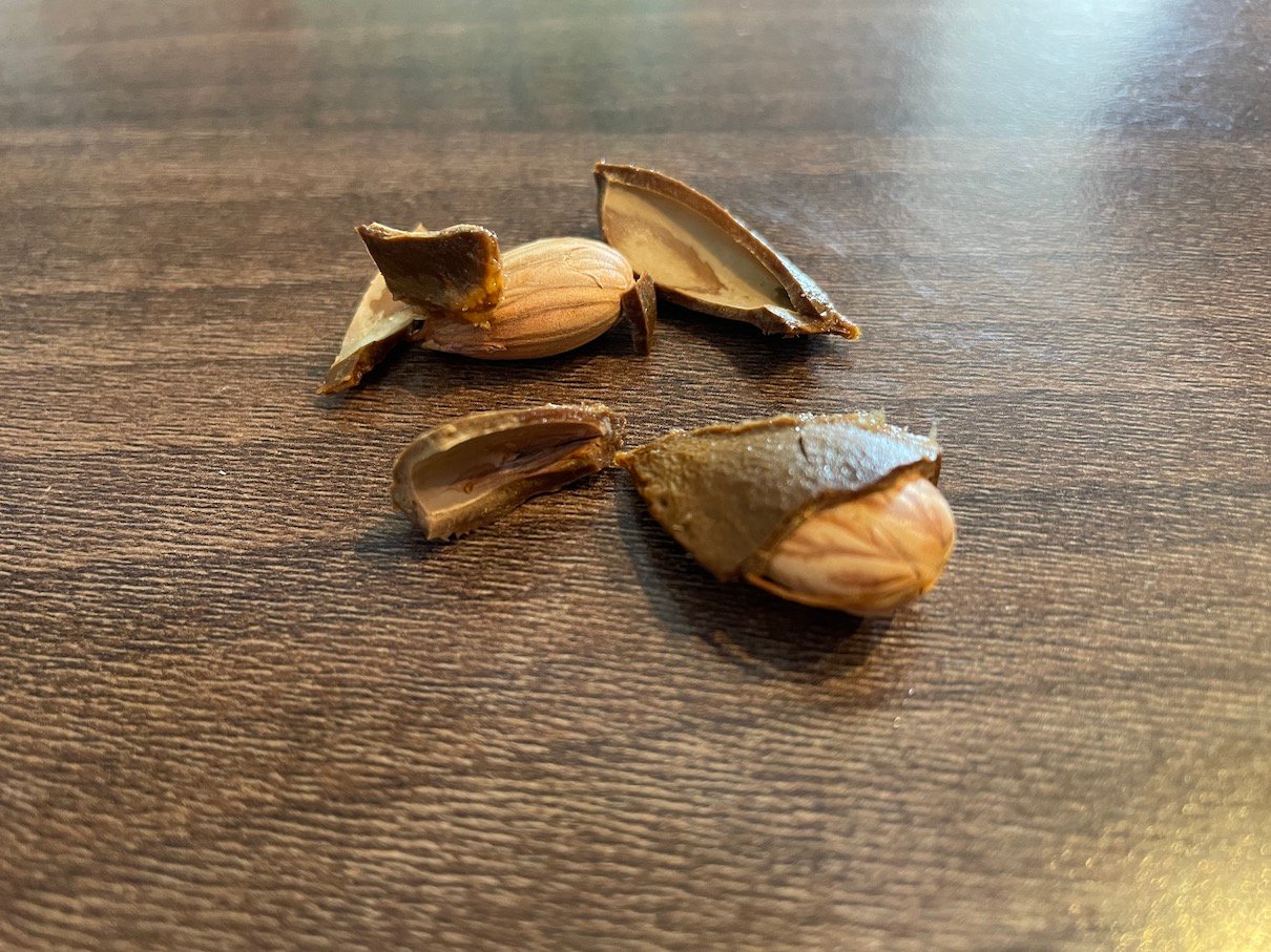 Apricots
