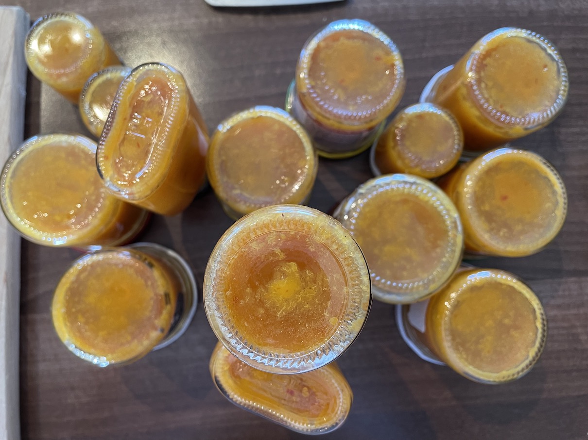 Apricots