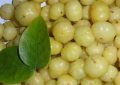 Indian gooseberry