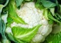 Cauliflower