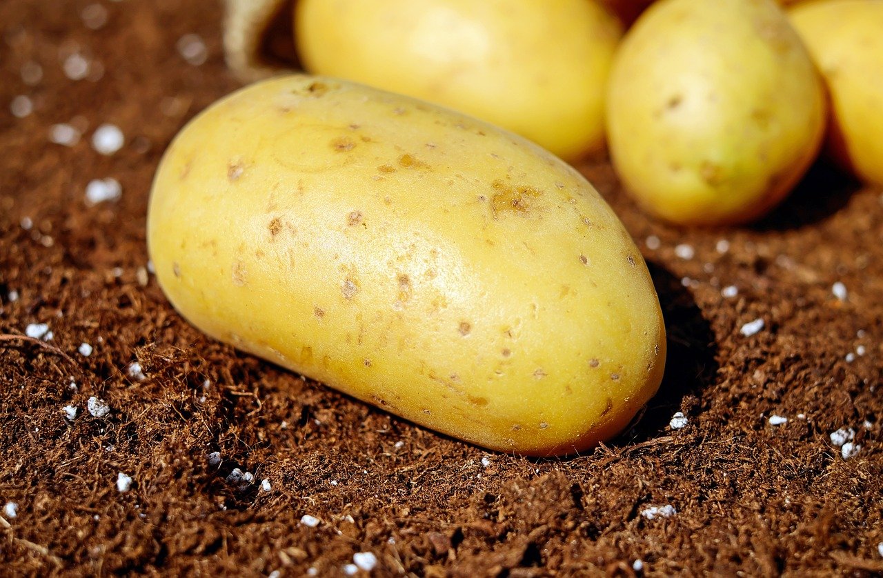 Potatoes
