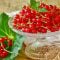 Red currant