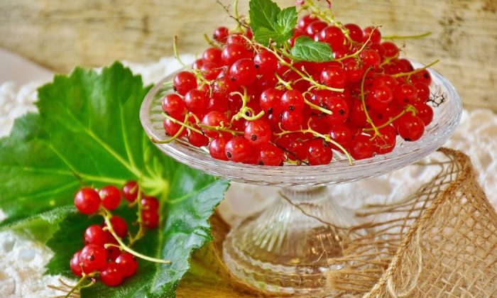 Red currant