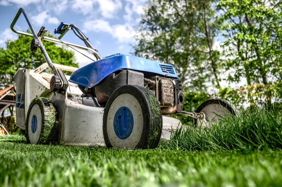 Lawn